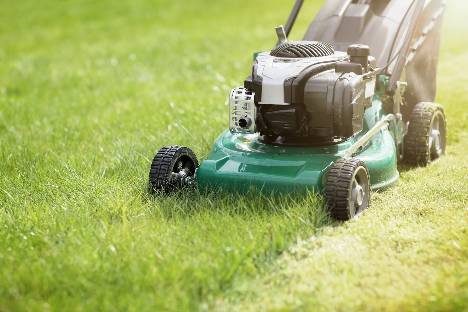 Mowing the grass