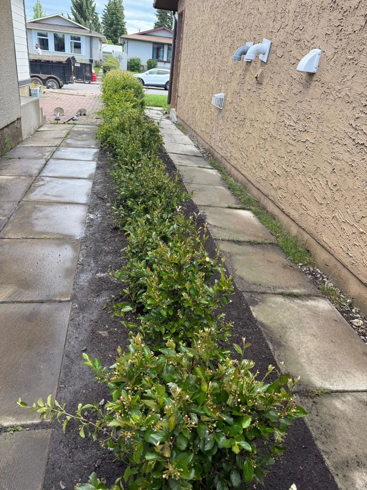 Landscaping