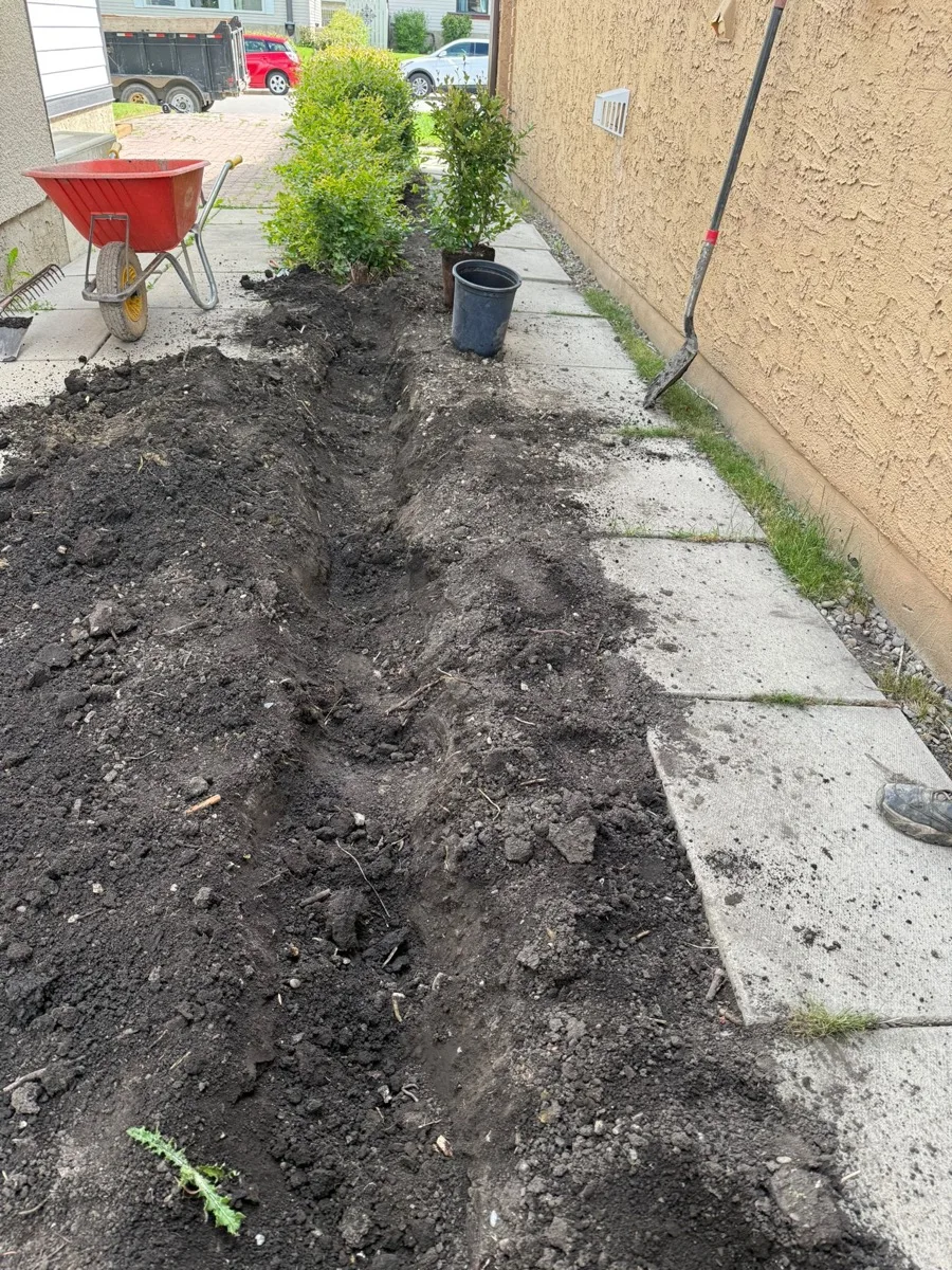 Landscaping